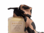 Souffle Marshmallow Fondue 400ml