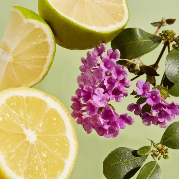 Body Lotion Purifying Verbena 250ml - Image 5